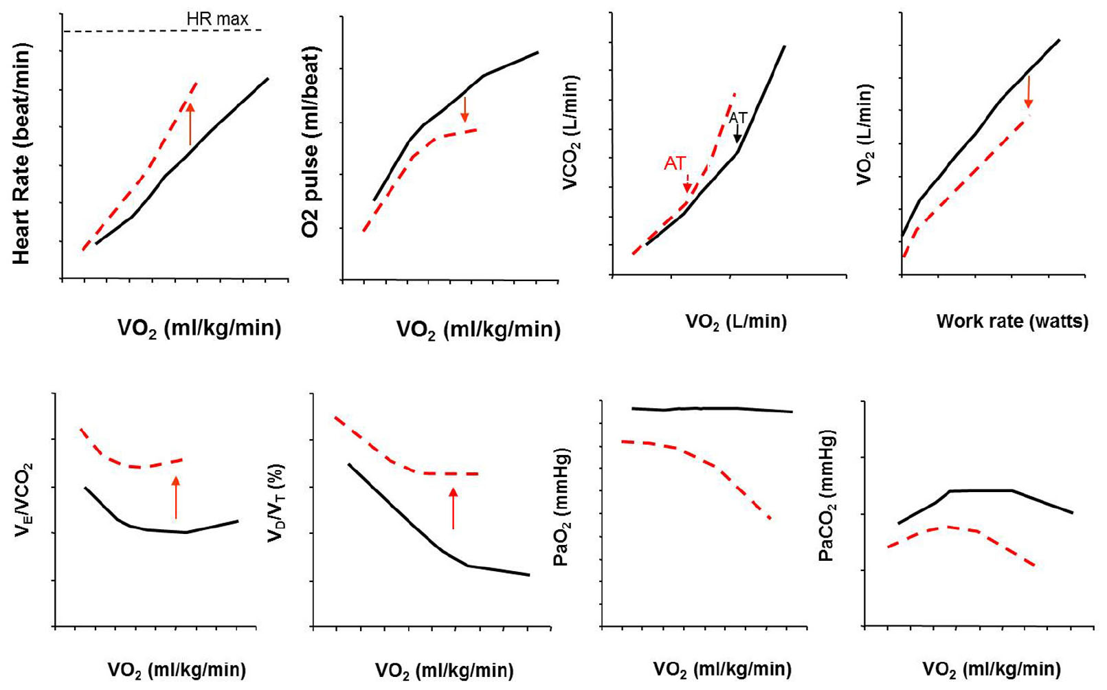 Frontiers  The utility of cardiopulmonary exercise testing in