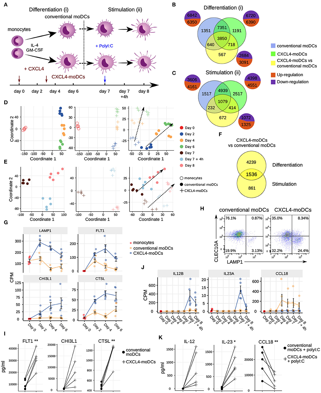 Temporal Relationships Between Circulating Levels of CC and CXC Chemokines  and Developing Atherosclerosis in Apolipoprotein E*3 Leiden Mice