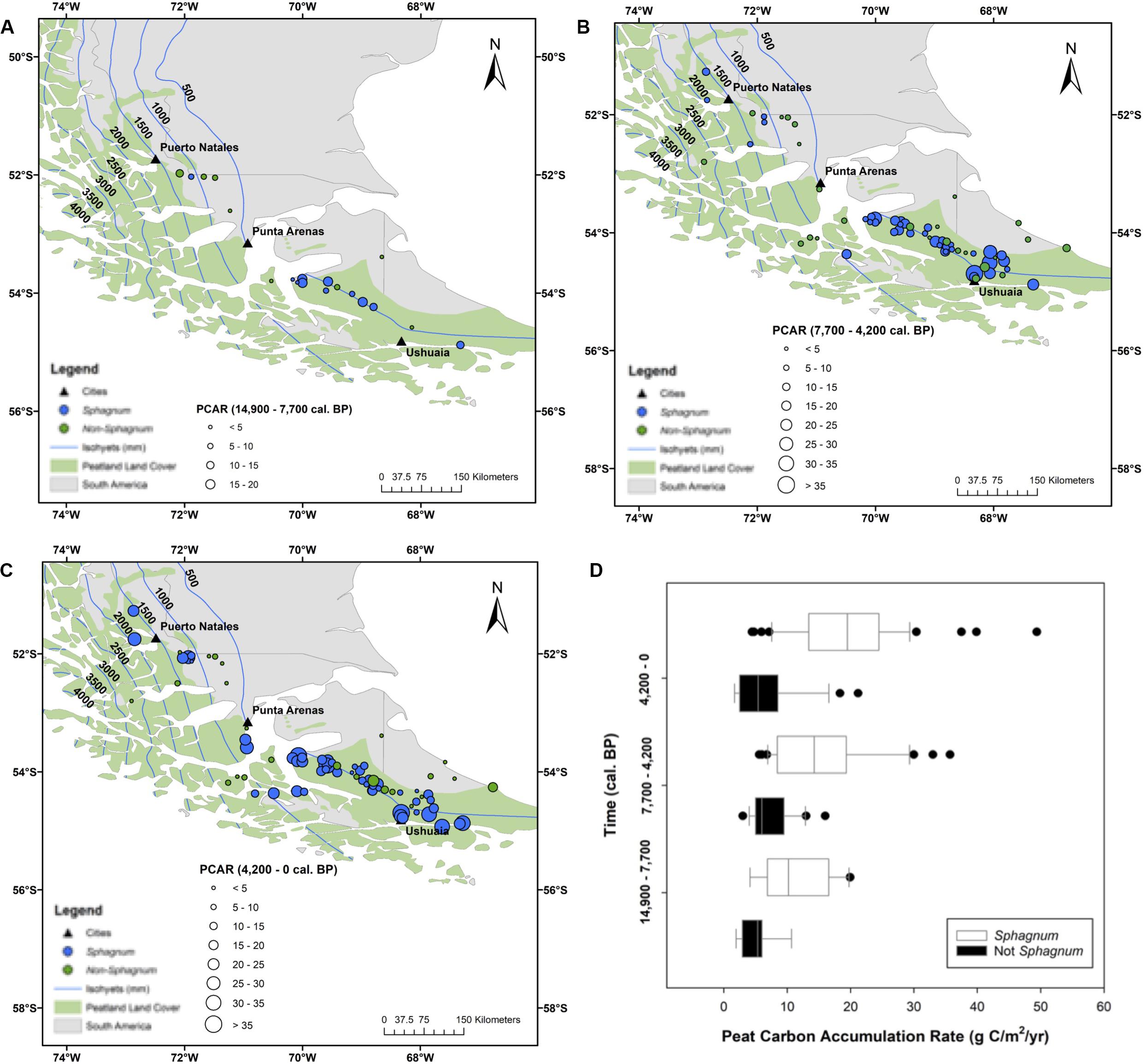 Landscape changes in the Campos region, southernmost Brazil, since the  early deglaciation based on a multi-proxy analysis of a peat bog -  ScienceDirect