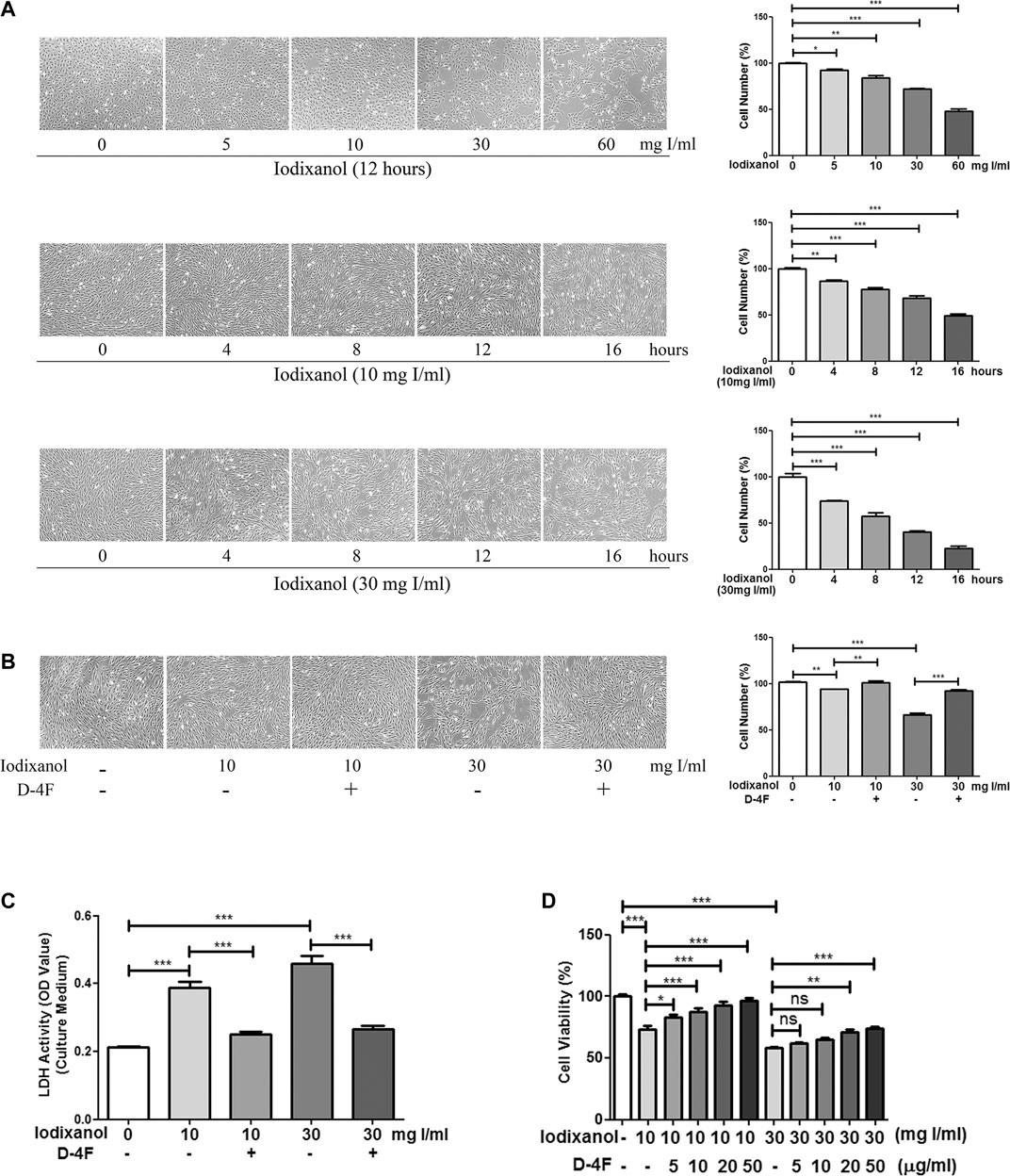 Schematic representation of ONOO⁻-induced signaling and mitochondrial