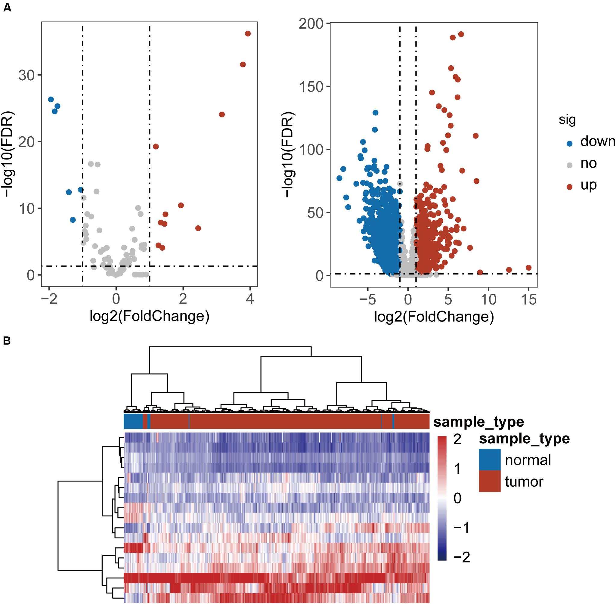 Frontiers | Characterization of lncRNA-Perturbed TLR-Signaling Network  Identifies Novel lncRNA Prognostic Biomarkers in Colorectal Cancer