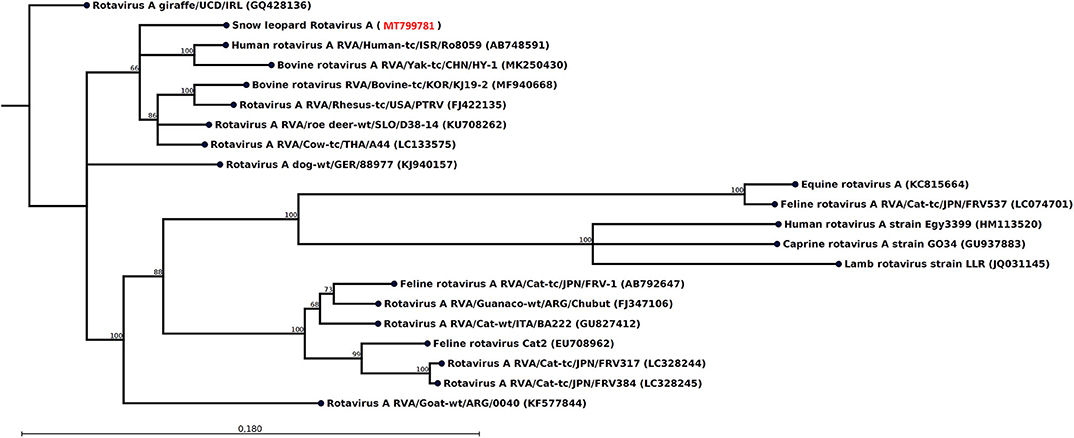 clc genomics workbench 2. not working clc genomics workbench 2. not working