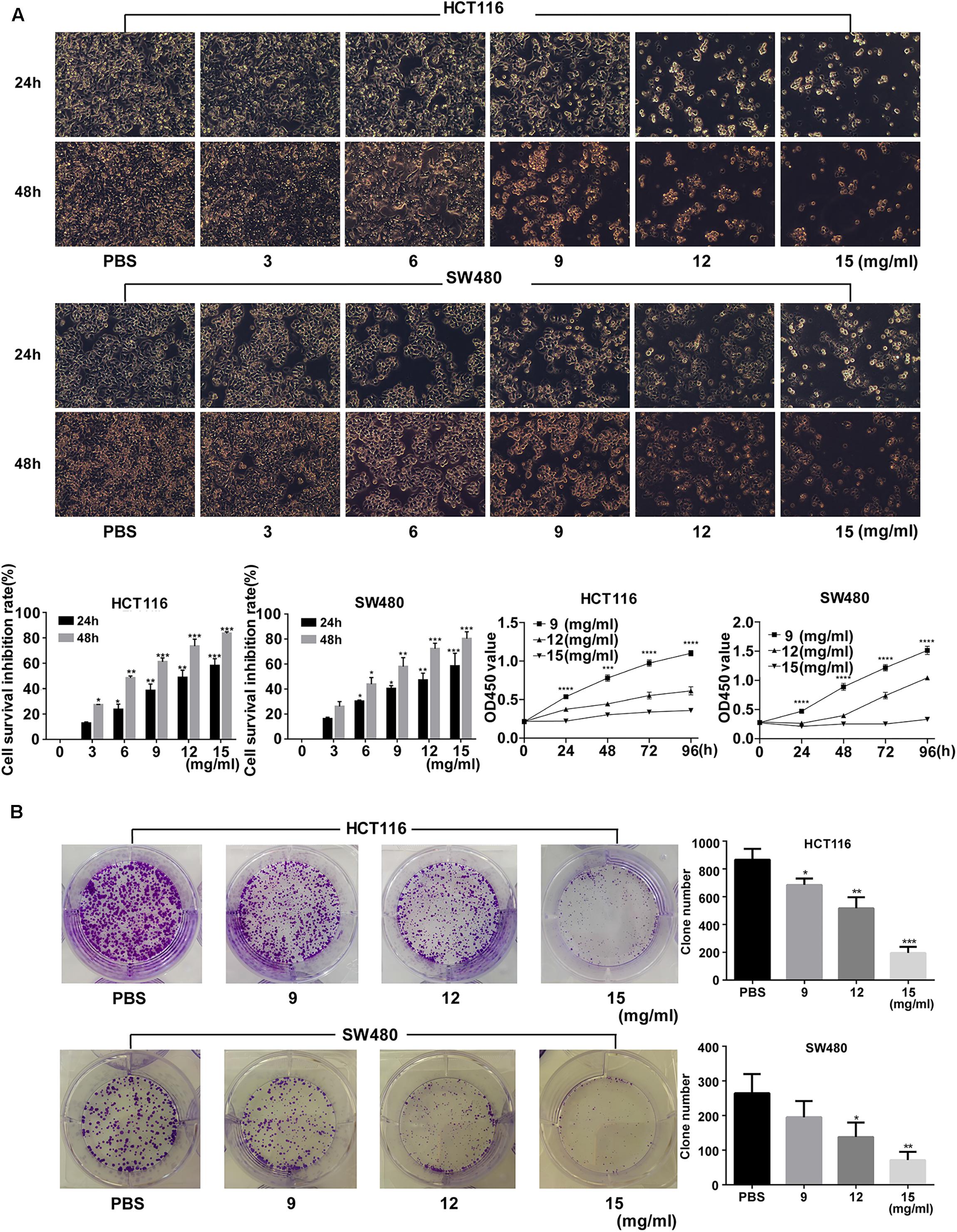 Frontiers | Anticancer Effects of Fufang Yiliu Yin Formula