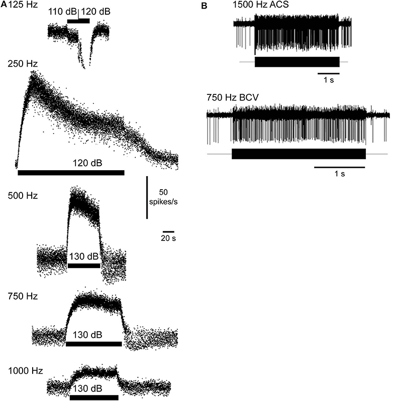 Frontiers  Audiovestibular Quantification in Rare Third Window