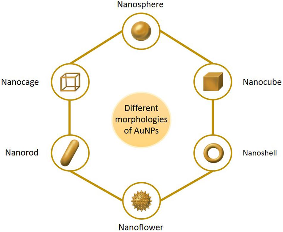 PDF) Perspective Chapter: Gold Nanoparticles Market: A Global