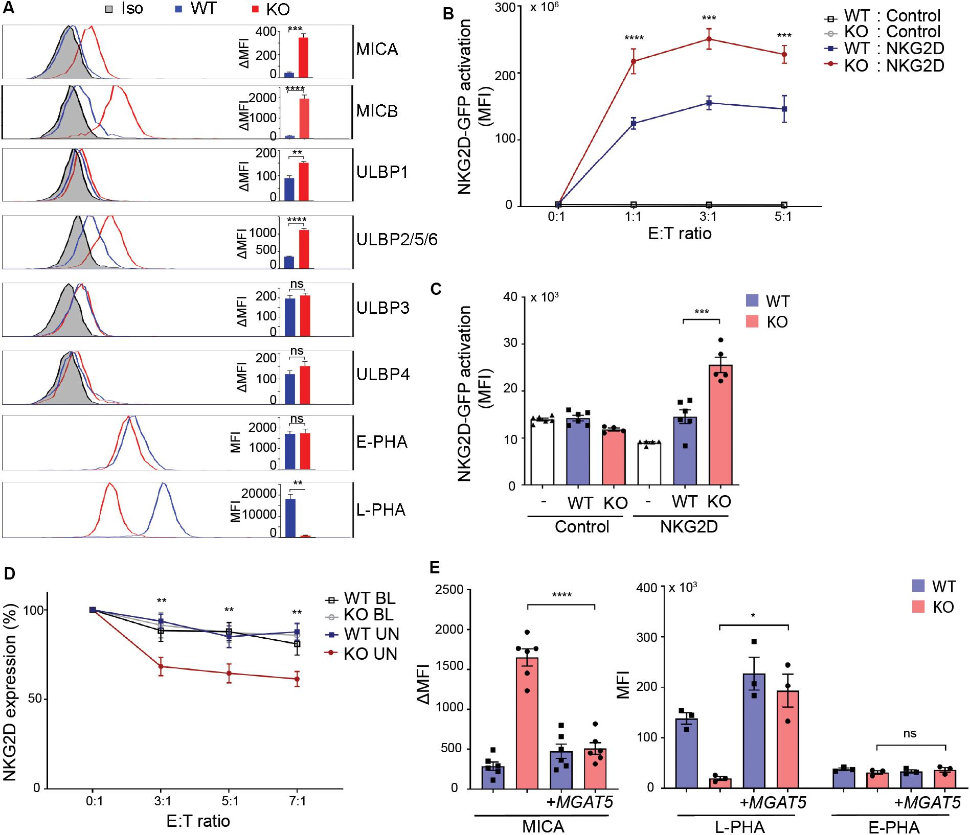Frontiers | Cytoplasmic Citrate Modulates Immune Stimulatory NKG2D Ligand MICA in Cancer Cells