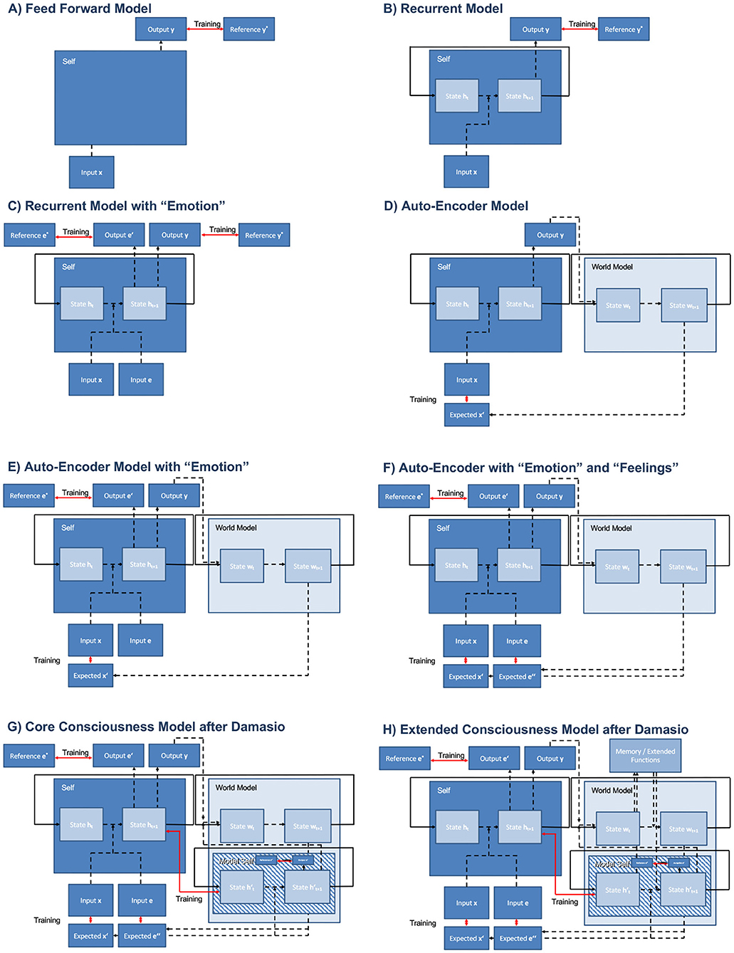 Simplified view of Damasio's model of consciousness: The protoself