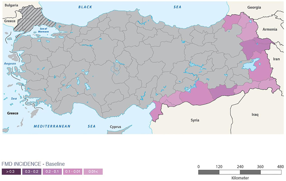 www.frontiersin.org