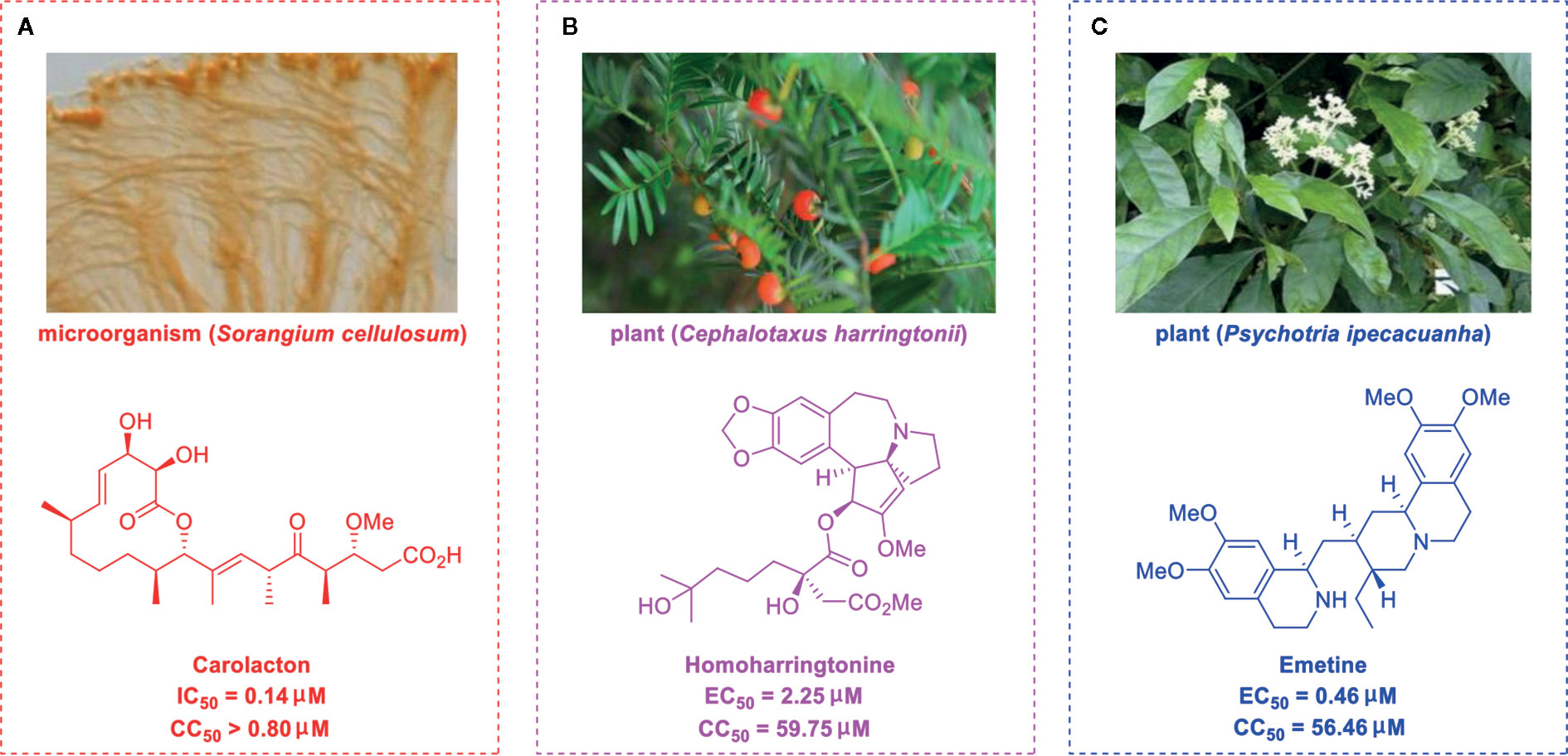 Frontiers | Turning the Tide: Natural Products and Natural-Product ...