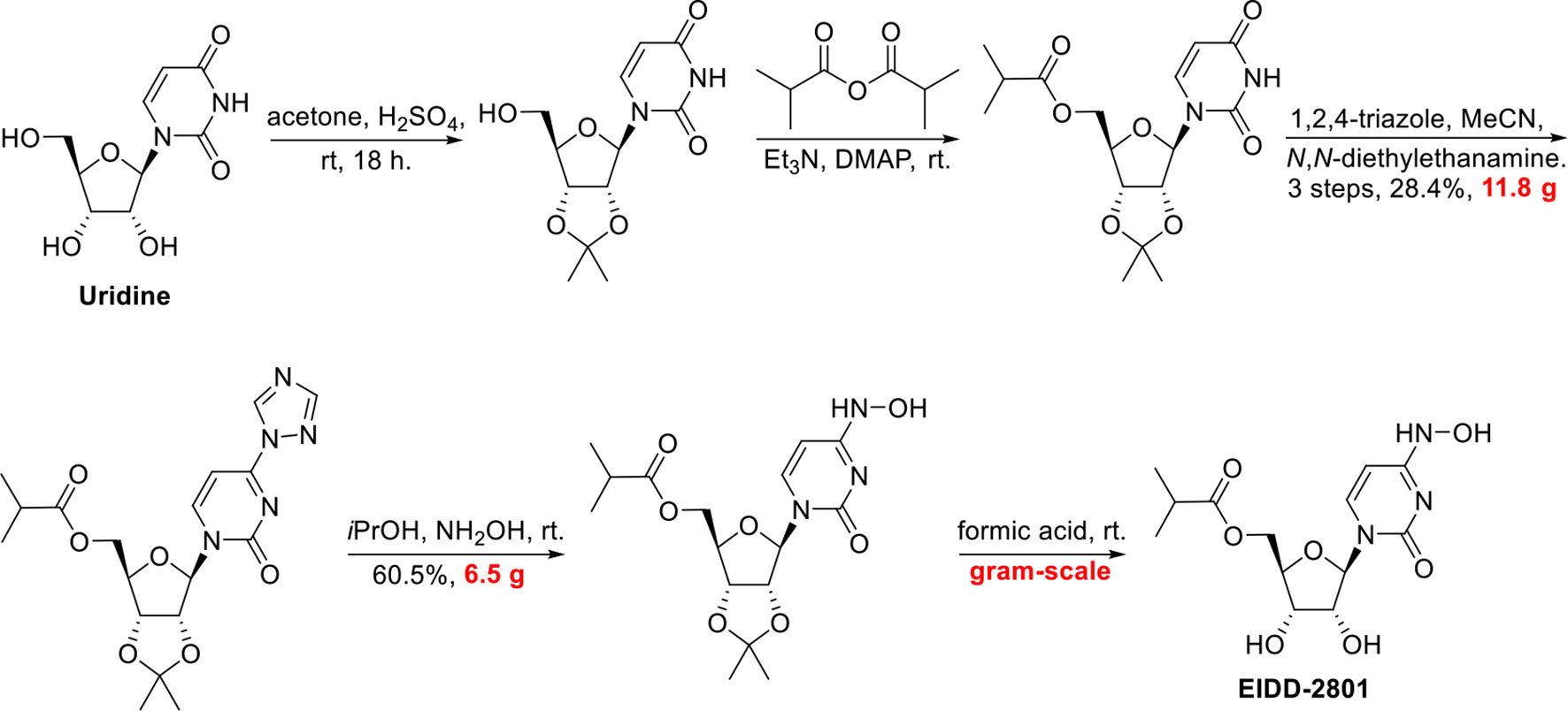 Frontiers | Turning the Tide: Natural Products and Natural-Product-Inspired Chemicals as Potential Counters to SARS-CoV-2 Infection | Pharmacology