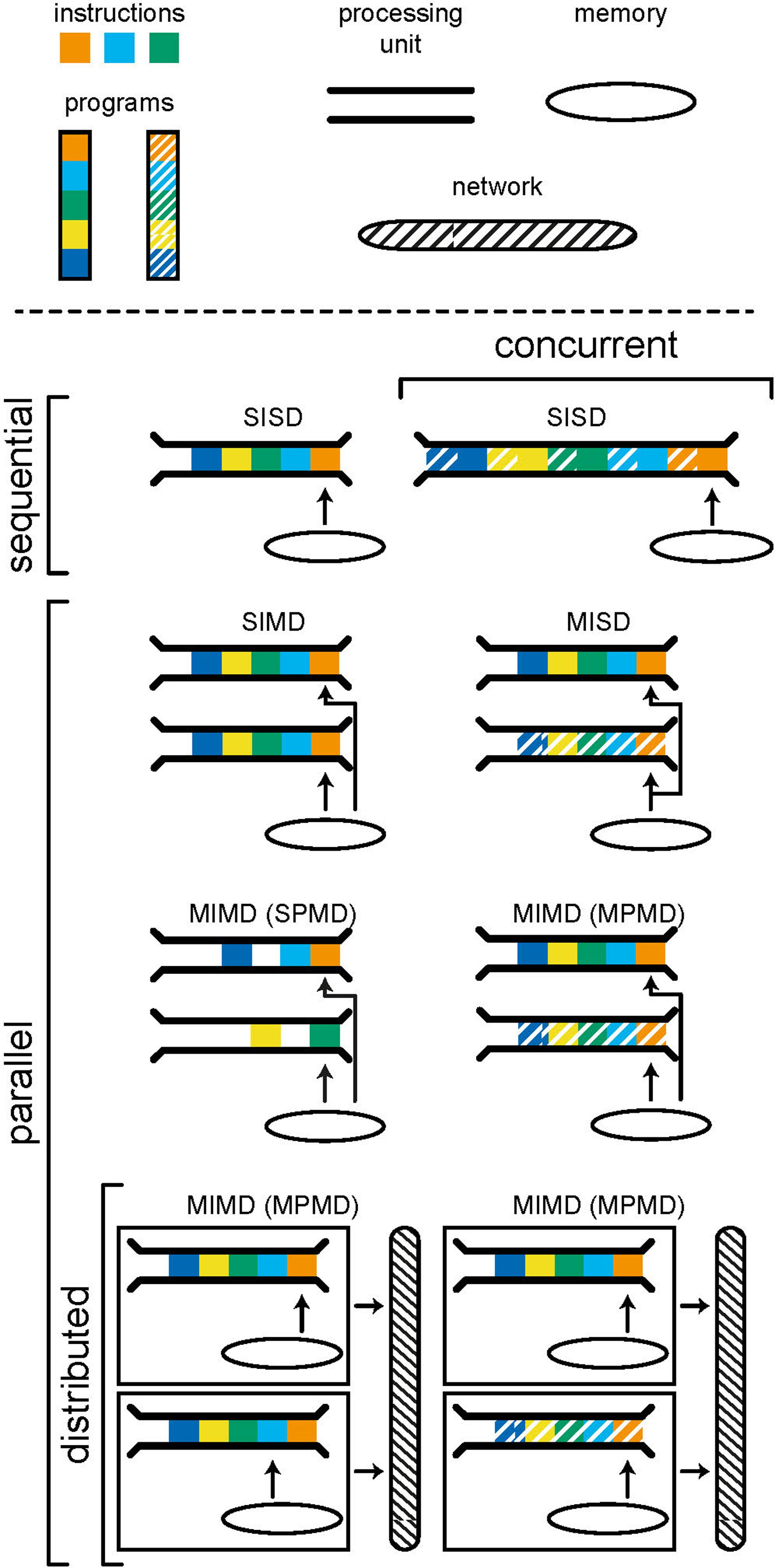 Dynamic allocation of orthogonal ribosomes facilitates uncoupling