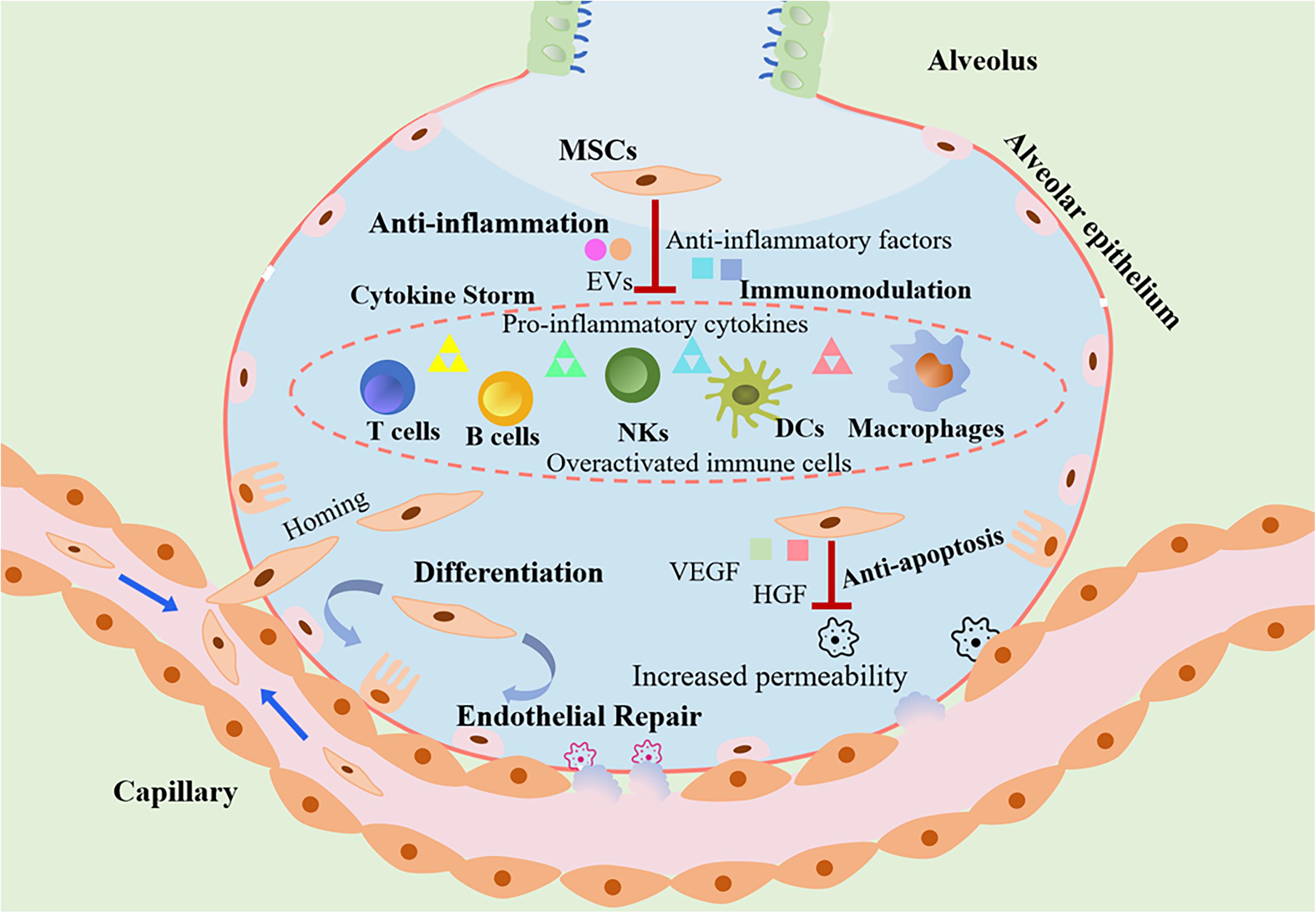 msc research topics in immunology