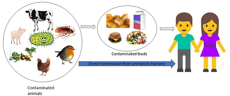 Figure 1 - How do people get infected with superbugs?