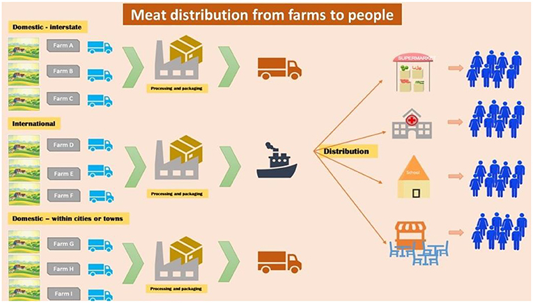 Figure 2 - The food supply system in America is complex.