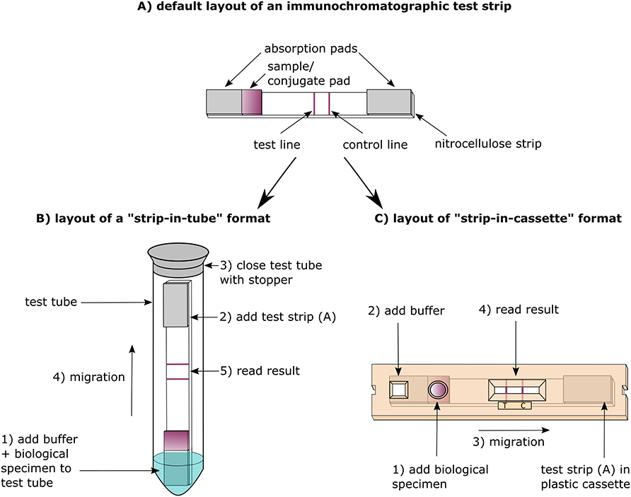 Analytical and clinical evaluation of antigen-based rapid diagnostic tests  against the most encountered SARS-CoV-2 variants