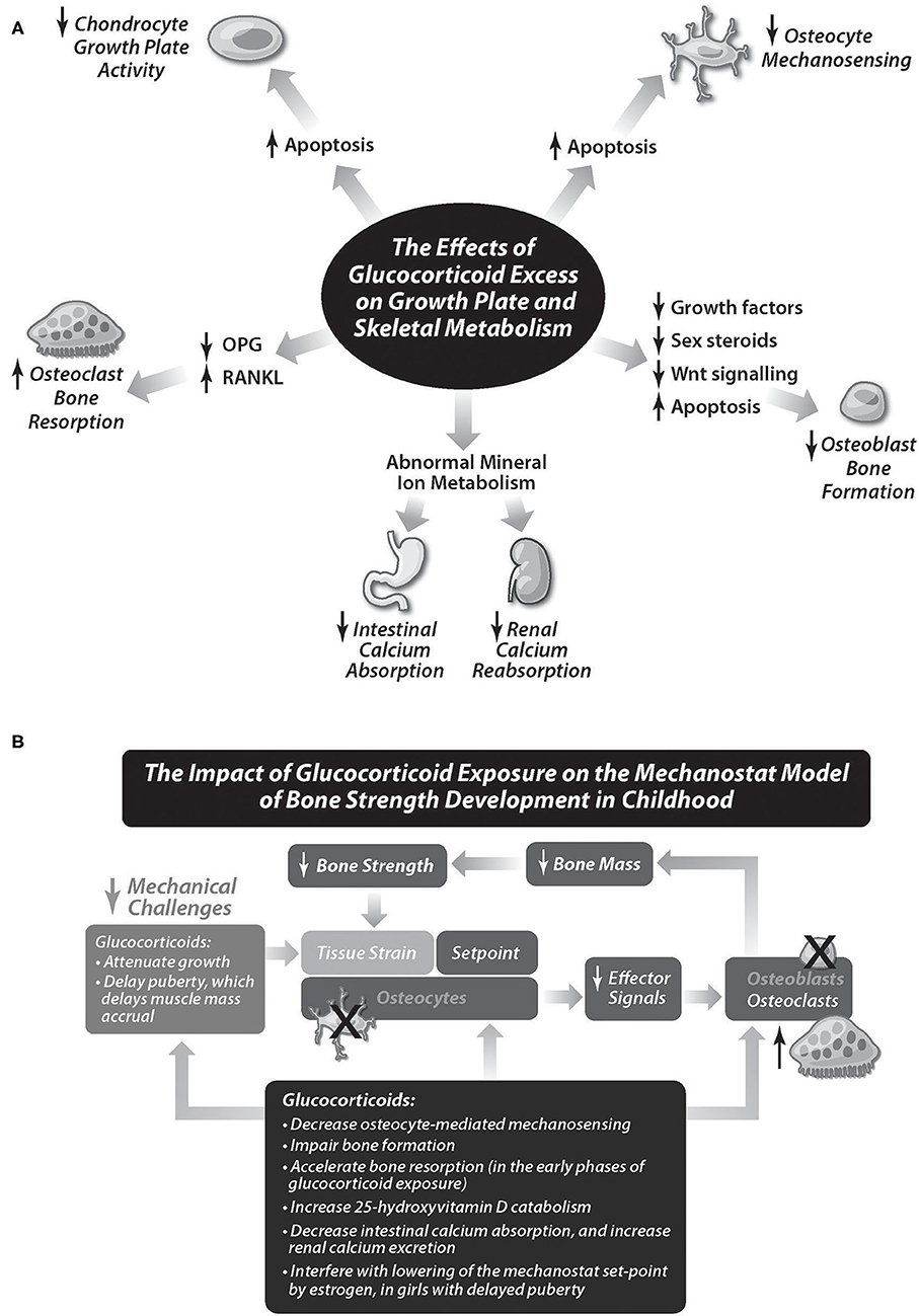 To Click Or Not To Click: steroids medical use And Blogging