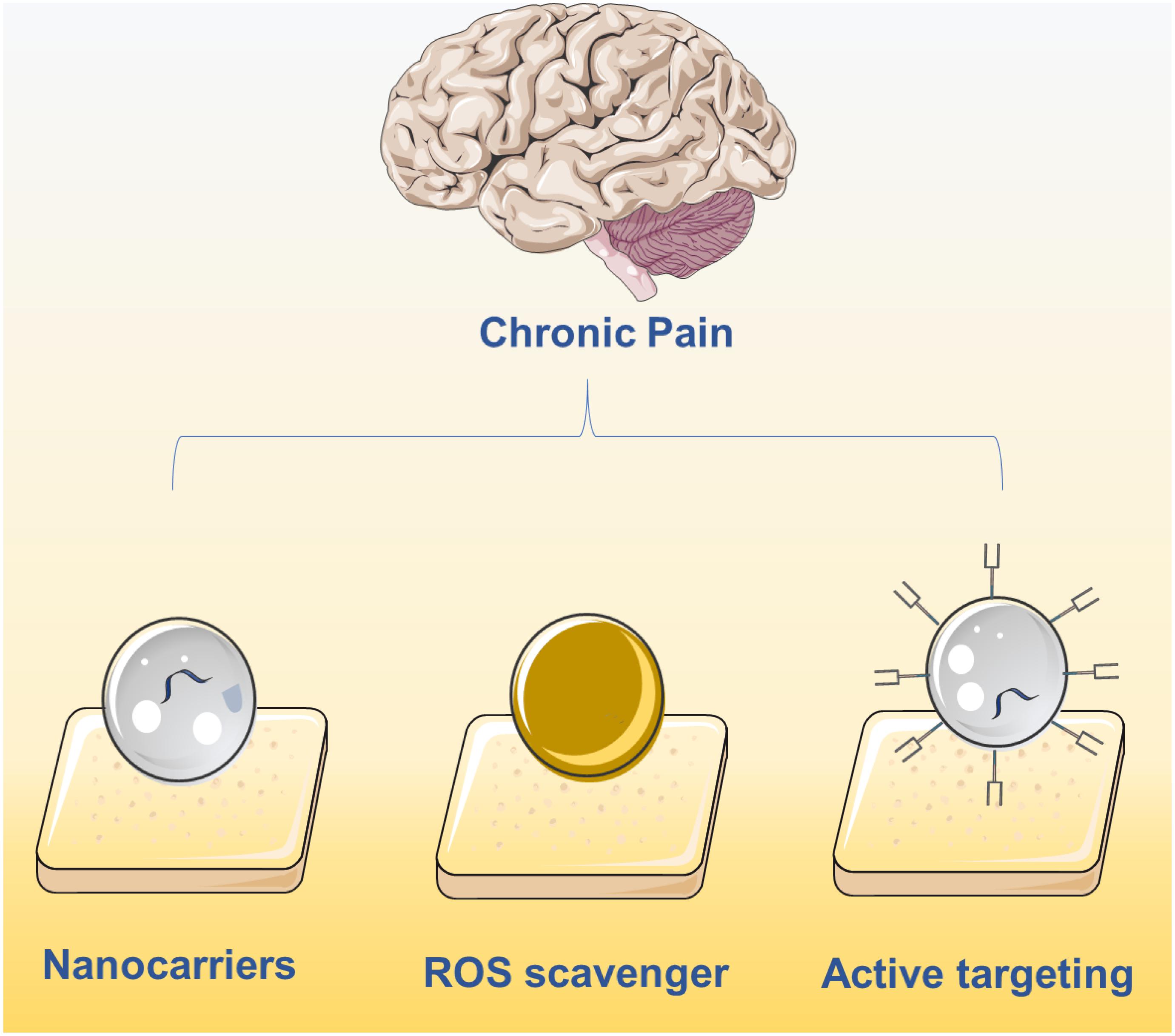 Classification of Chronic Pain, Second Edition (Revised) - International  Association for the Study of Pain (IASP)