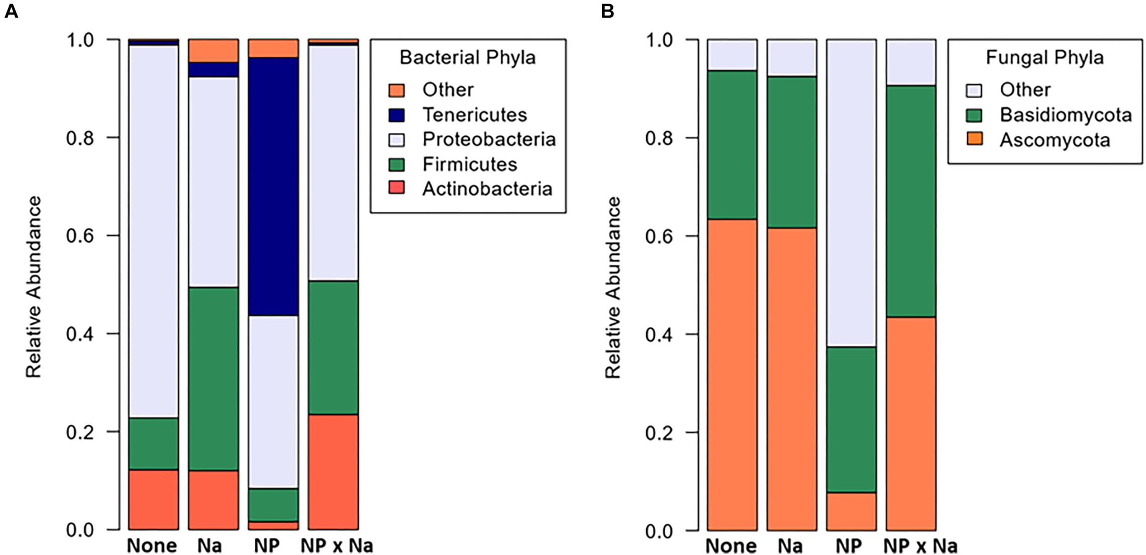 Frontiers Environmental Nutrients Alter Bacterial And Fungal Gut Microbiomes In The Common Meadow Katydid Orchelimum Vulgare Microbiology