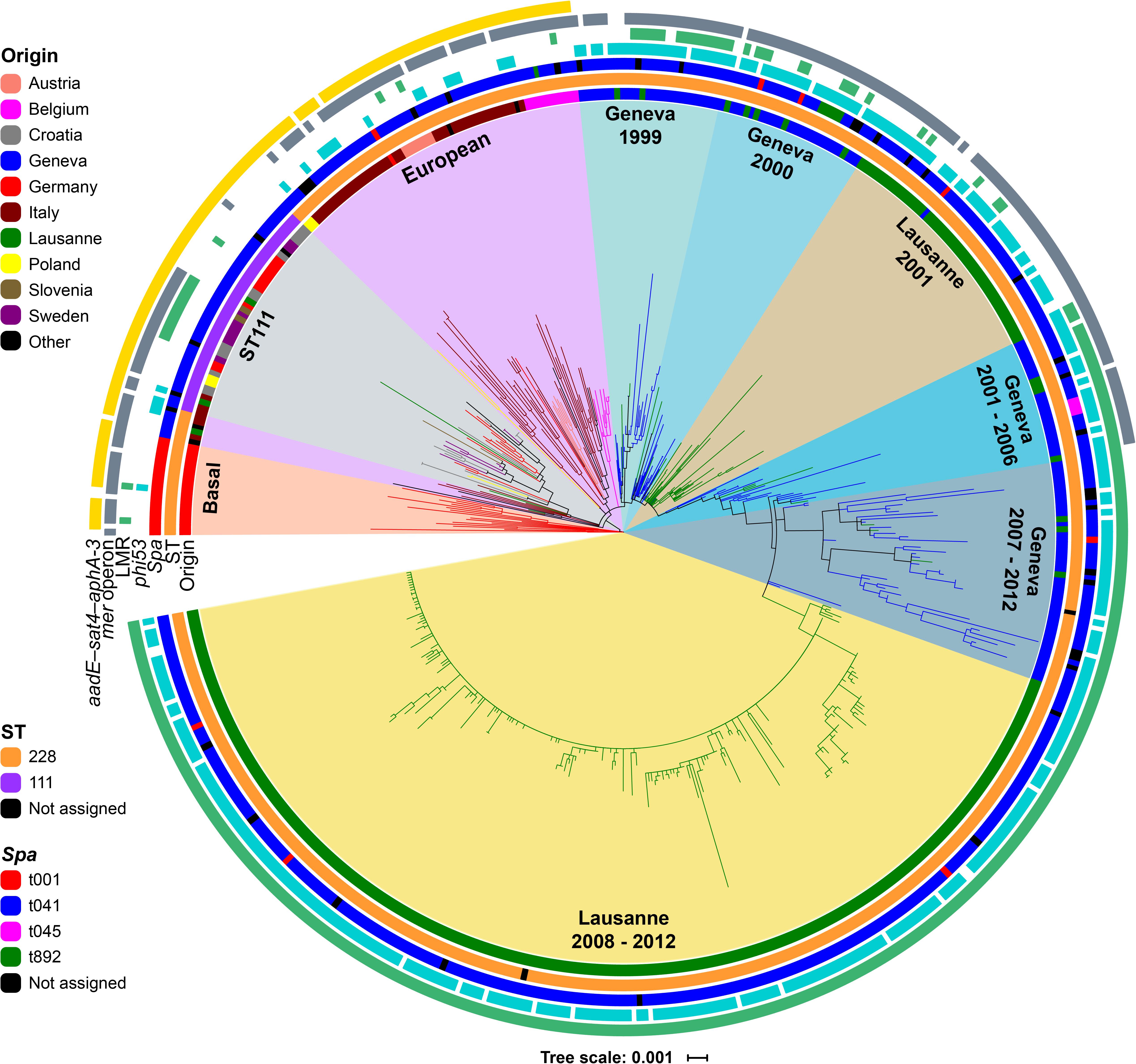 The evolution of Staphylococcus aureus