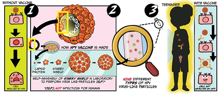 hpv vírus láb