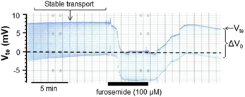 www.frontiersin.org