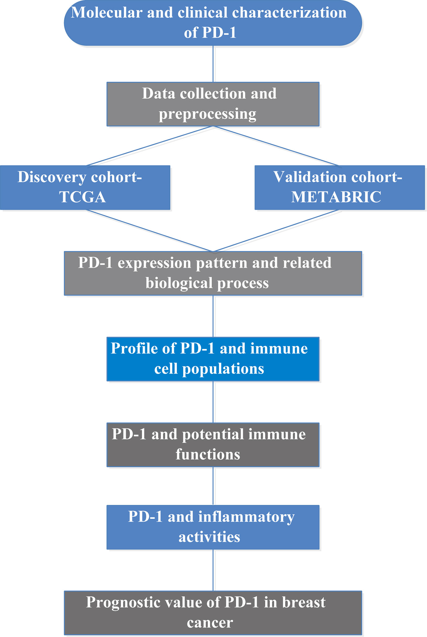 Reference Chart - Understanding Breast Cancer 