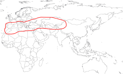 www.frontiersin.org