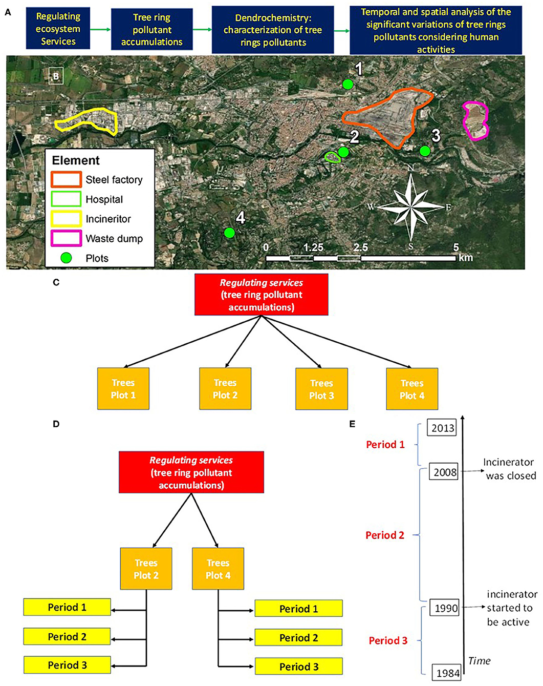 Frontiers Dendrochemistry Ecosystem Services Perspectives For Urban Biomonitoring Environmental Science