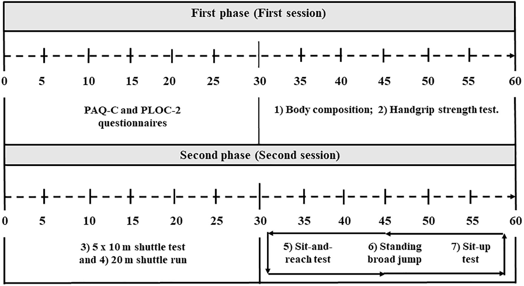 PDF) Supine-to-stand task performance and anthropometric characteristics in  children and adolescents Short title: Supine-to-stand performance in  children