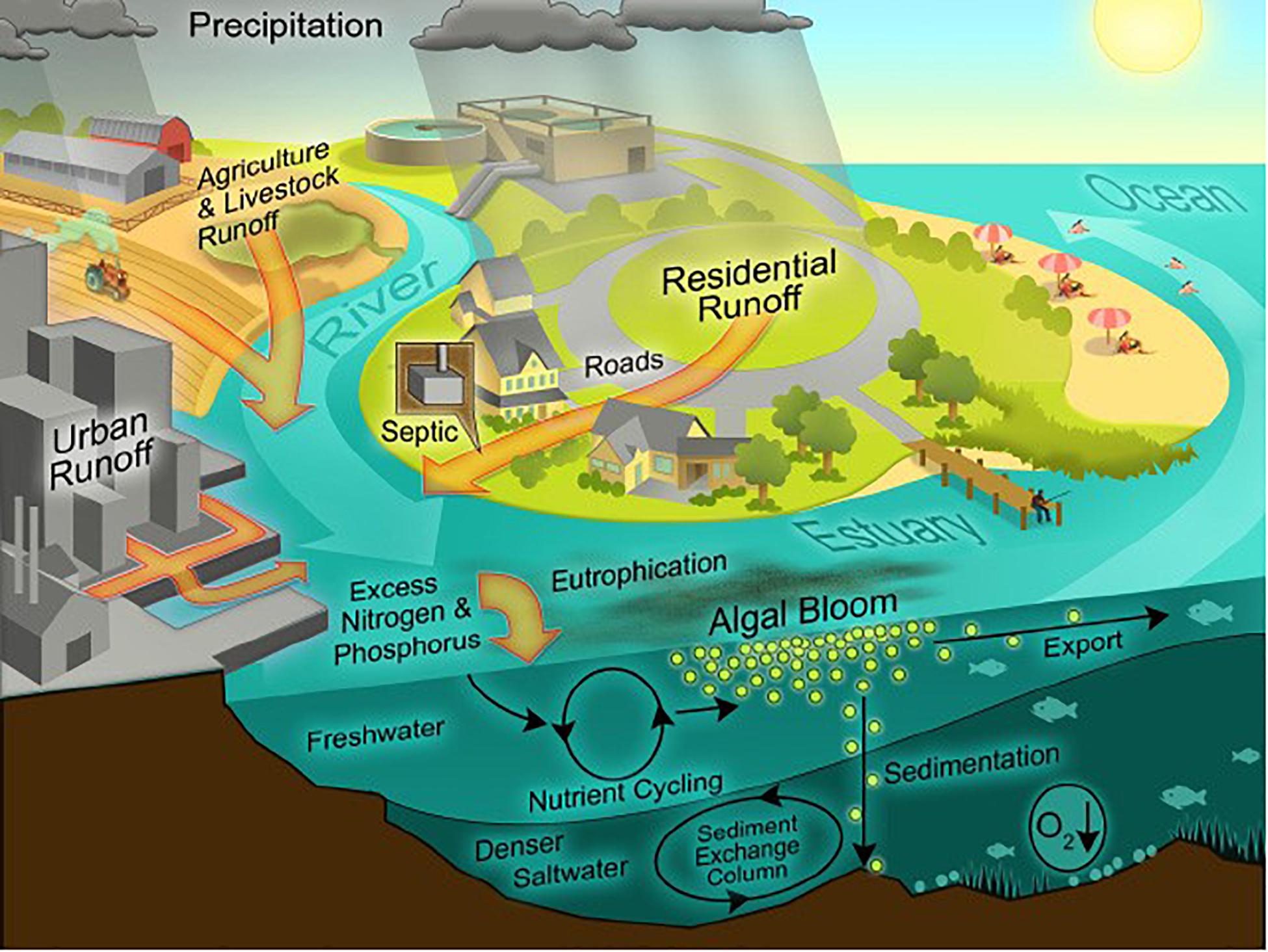 Mitigating the Expansion of Harmful Algal Blooms Across the  Freshwater-to-Marine Continuum