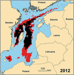 www.frontiersin.org