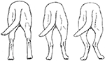 www.frontiersin.org
