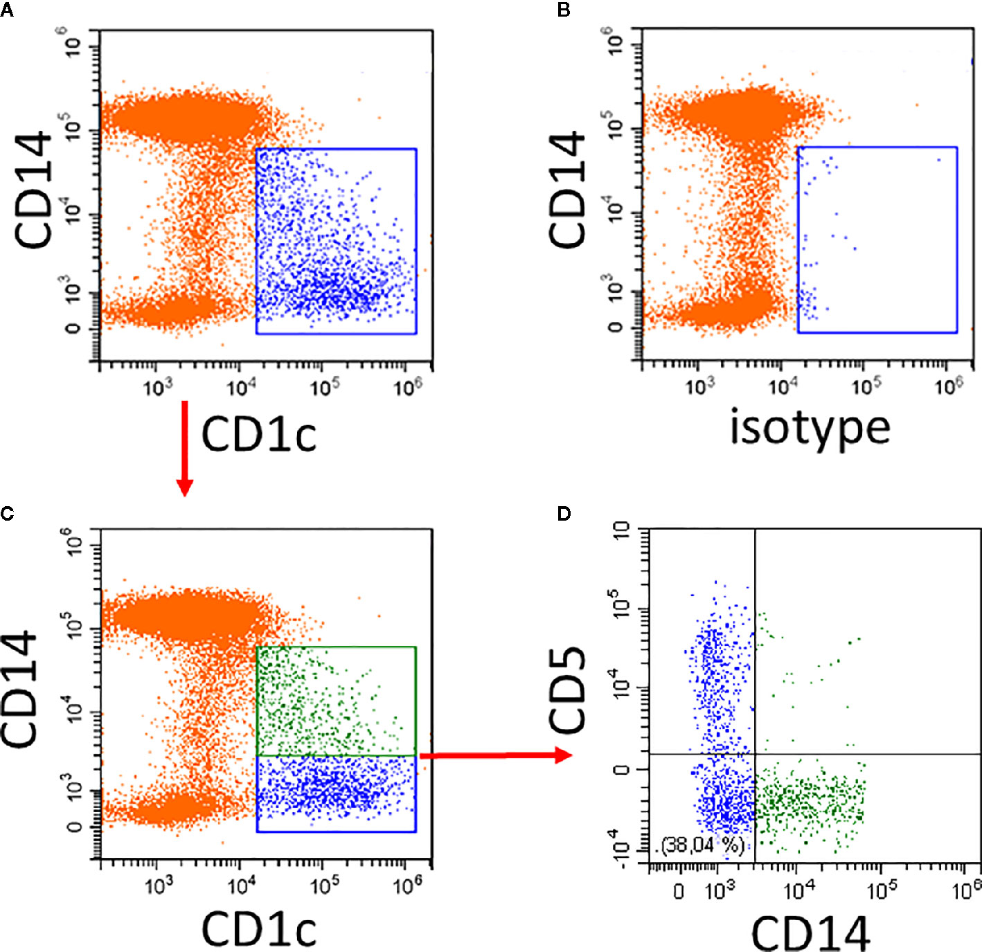 Frontiers Subsets Of Cd1c Dcs Dendritic Cell Versus Monocyte Lineage Immunology