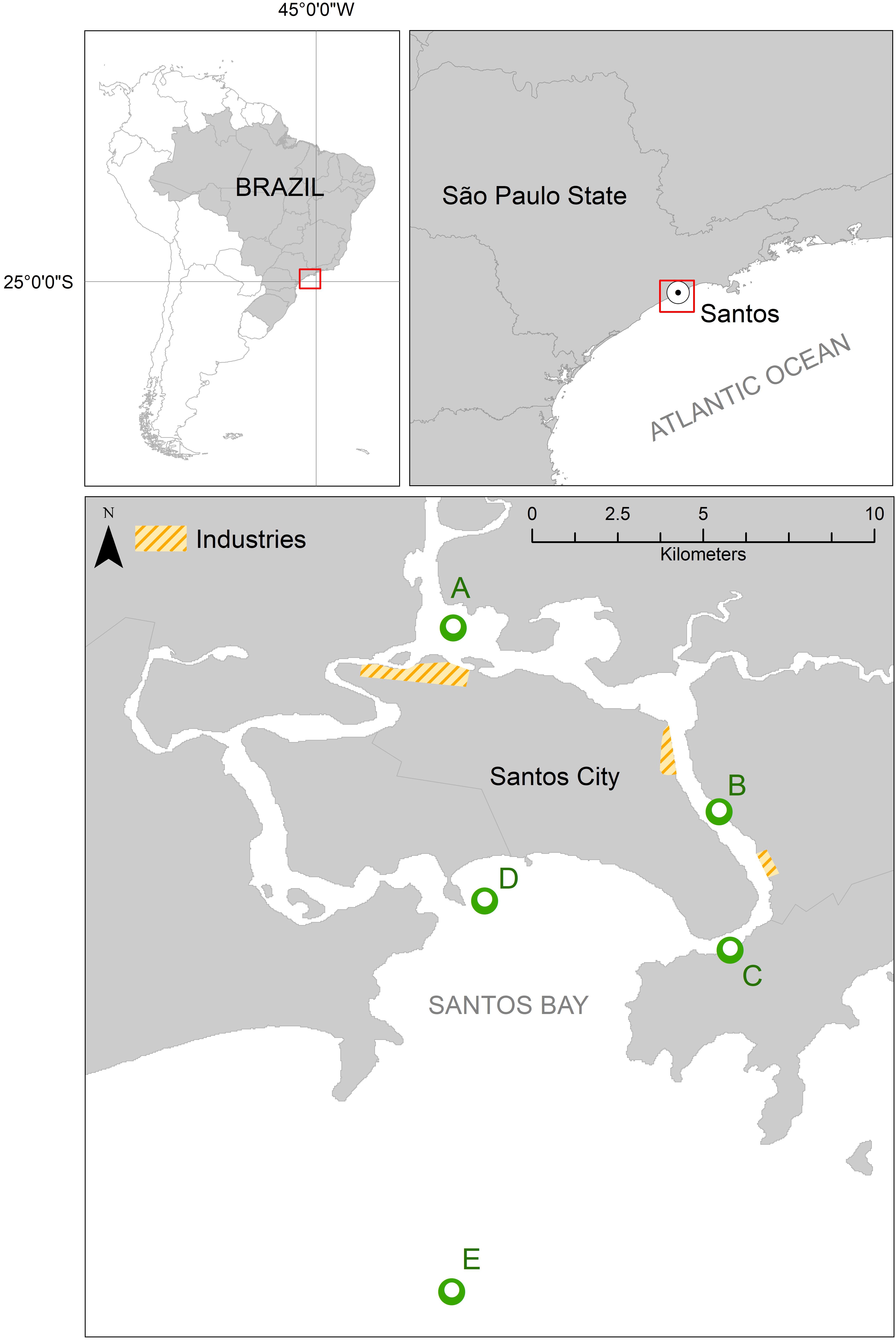 Brazilian group presents novel method of analyzing microplastic