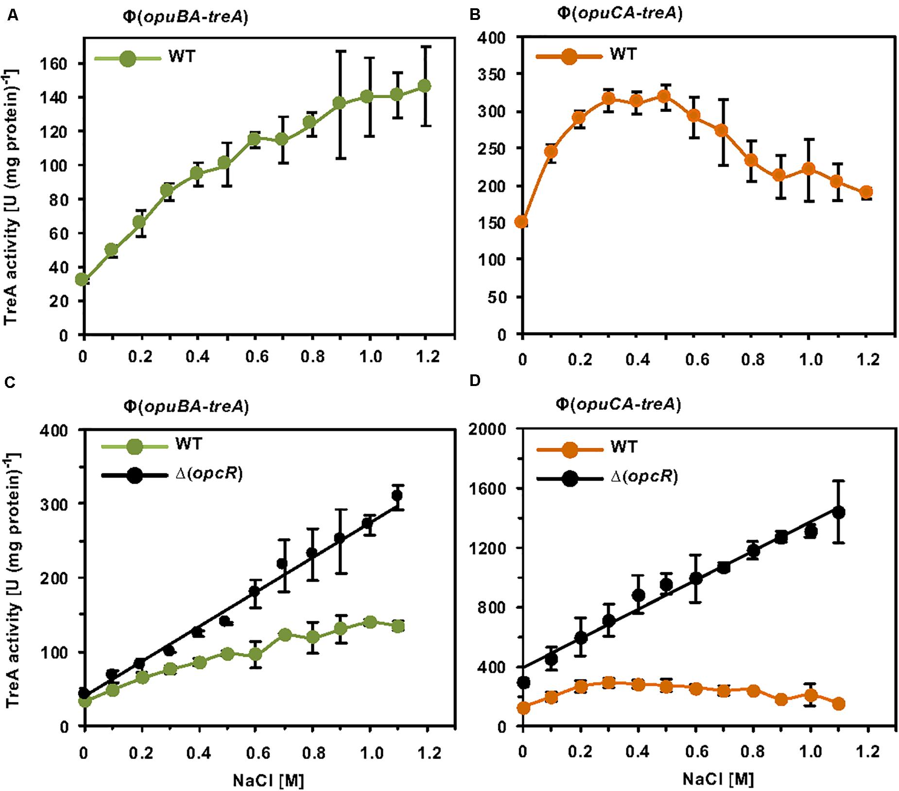 Frontiers | Two MarR-Type Repressors Balance Precursor Uptake and ...