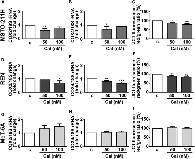 cancer in lymph nodes survival