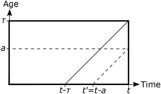 www.frontiersin.org