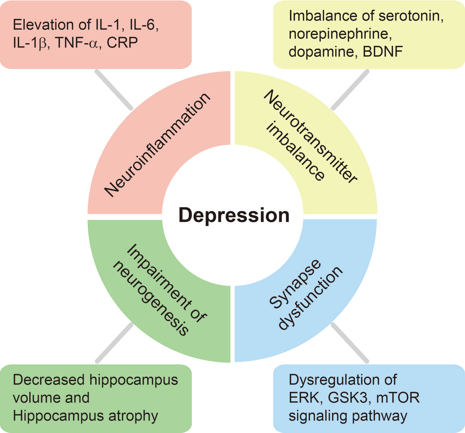 hypothesis of depression