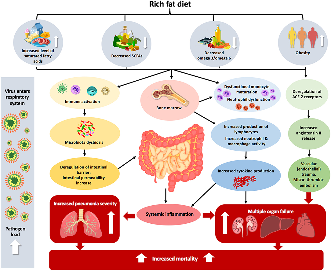 Frontiers Importance Of Dietary Changes During The Coronavirus Pandemic How To Upgrade Your Immune Response Public Health