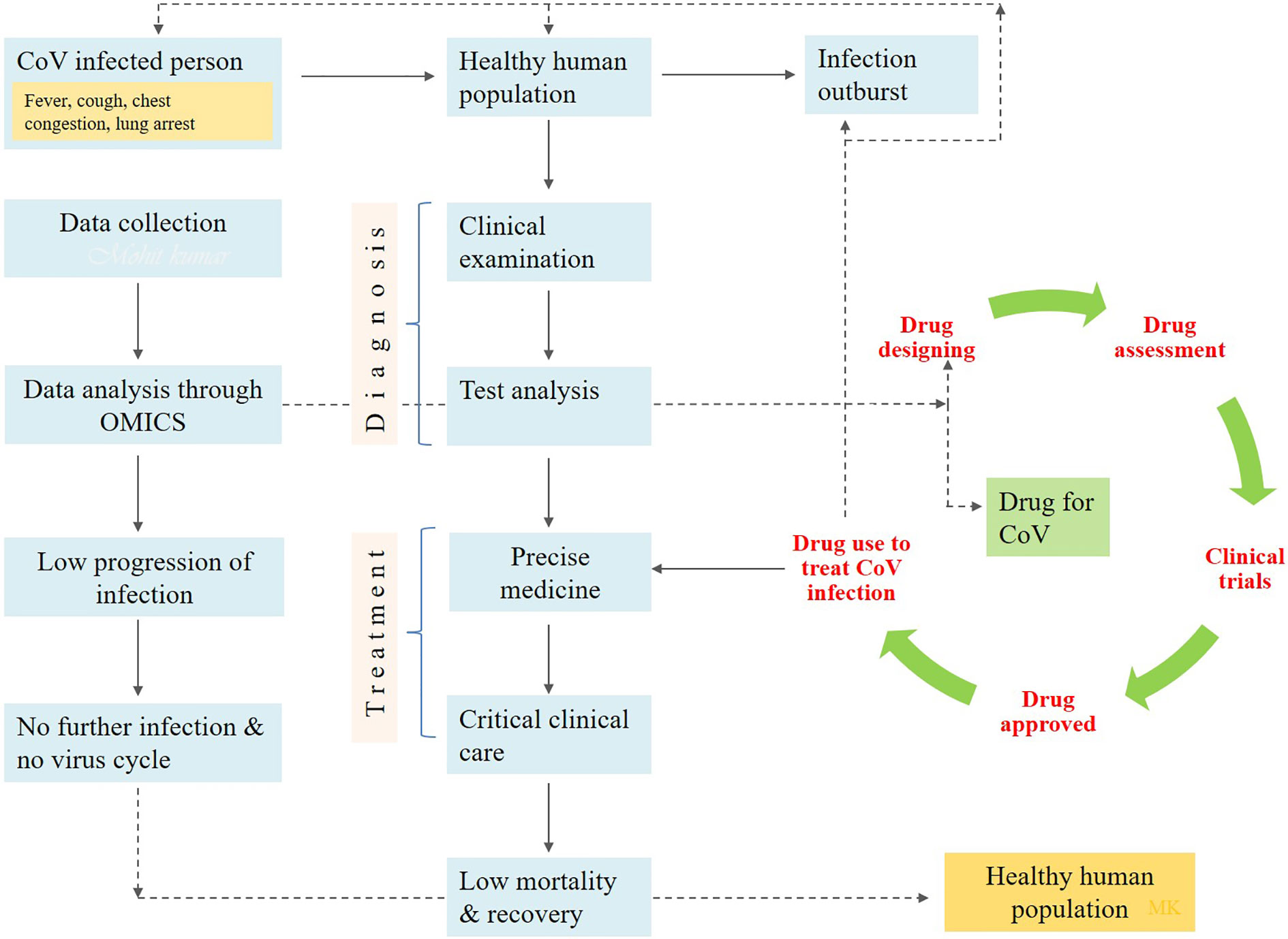 Frontiers  A Bioinformatics Approach to Investigate Structural and  Non-Structural Proteins in Human Coronaviruses