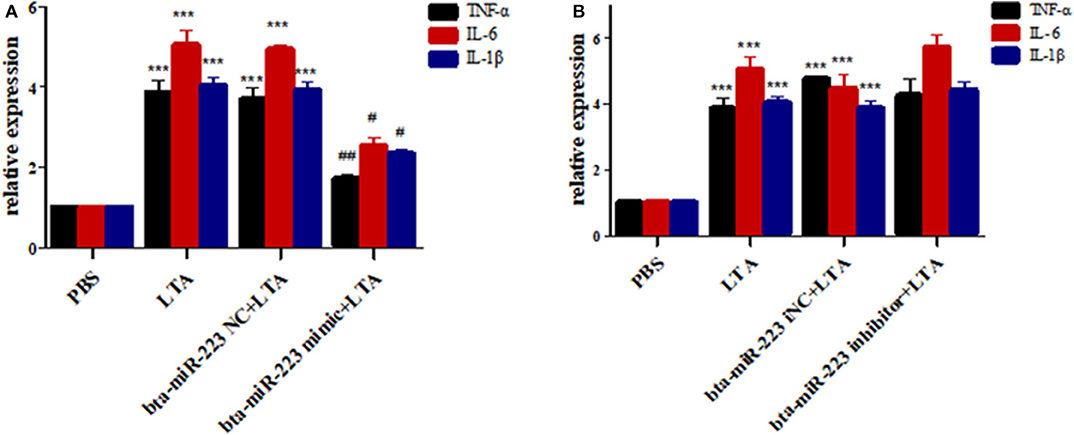 Frontiers Bta Mir 223 Targeting Cblb Contributes To Resistance To Staphylococcus Aureus Mastitis Through The Pi3k Akt Nf Kb Pathway Veterinary Science