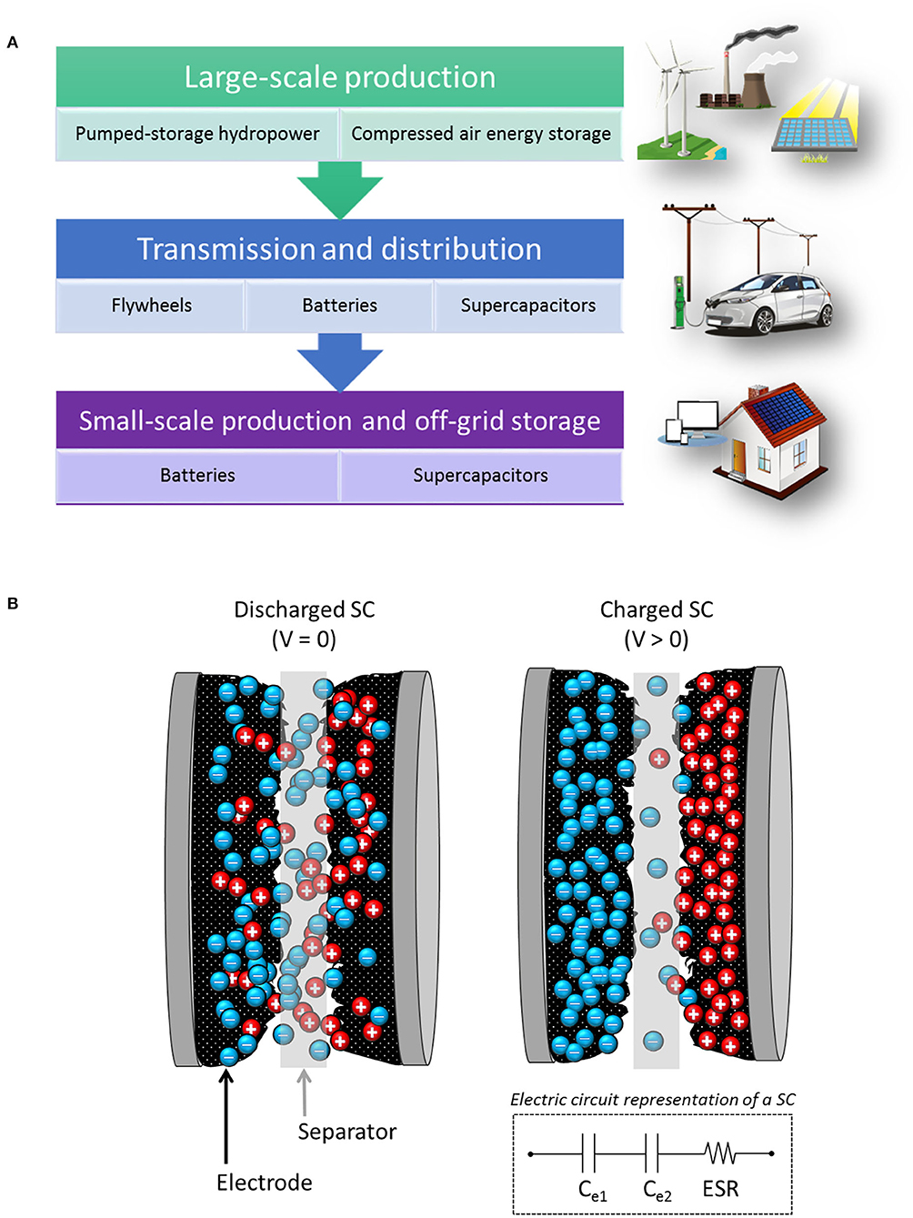 of treatment and storage time on the color values of MF and VF