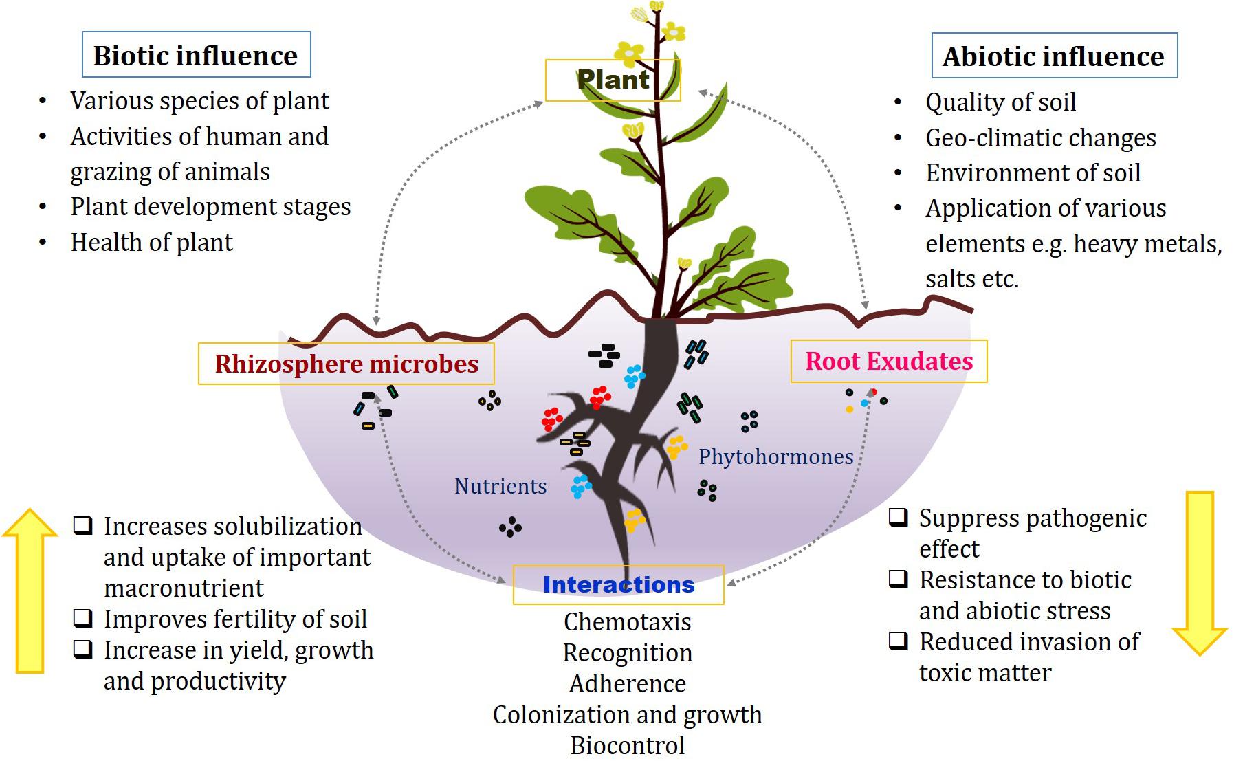 Microbial applications for sustainable space exploration beyond