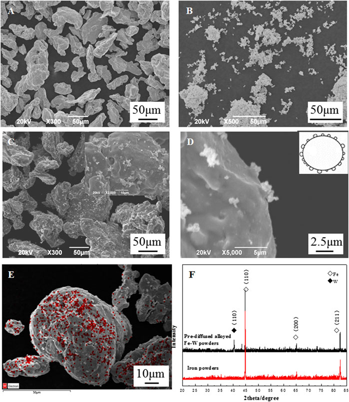 SEM images of as received iron powders, (a) and (b) are images for