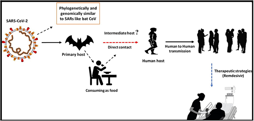 Frontiers  COVID-19 Epidemic in Malaysia: Epidemic Progression 