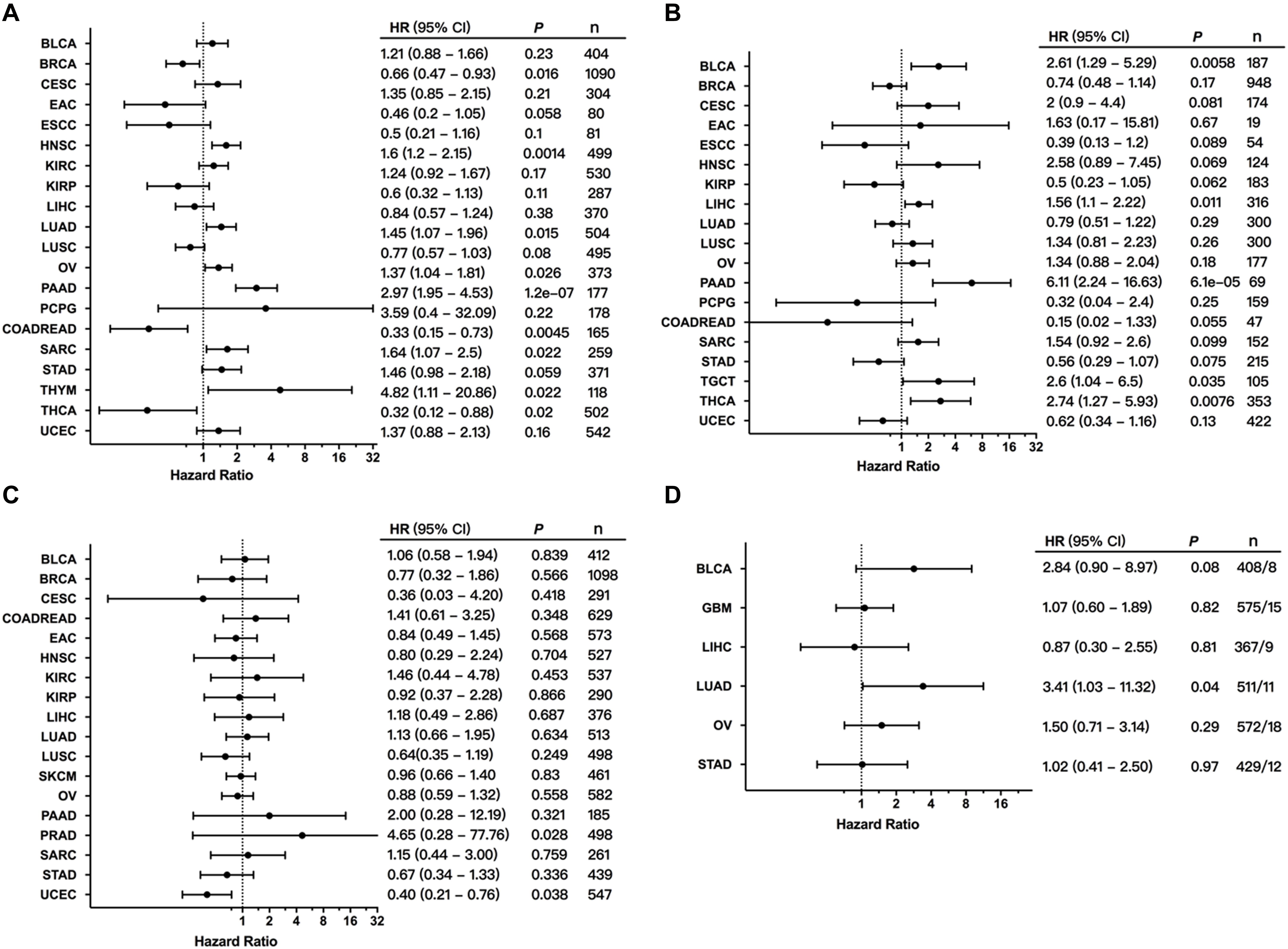 Frontiers | Spectrum of Mesenchymal–Epithelial Transition