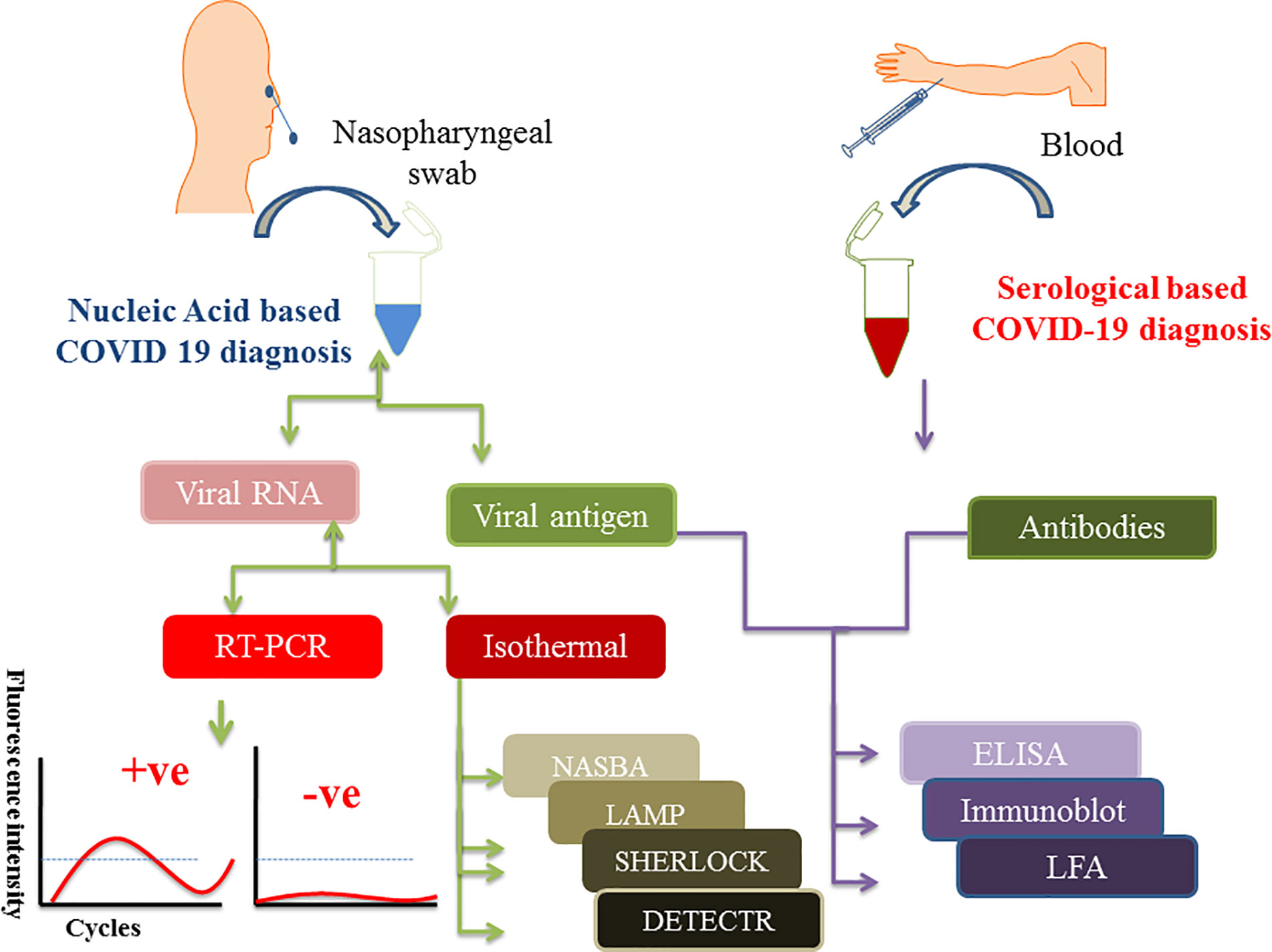 Disease Diagnosis Based on Nucleic Acid Modifications