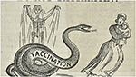 www.frontiersin.org