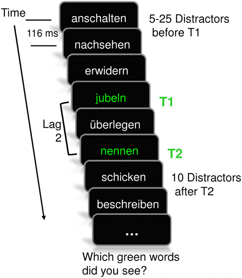 www.frontiersin.org