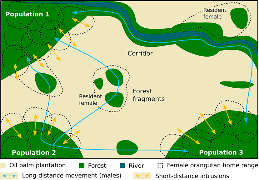 Frontiers | Importance of Small Forest Fragments in Agricultural